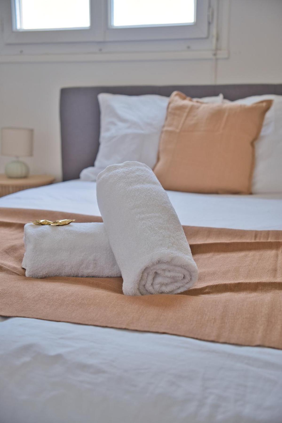 Le Beau Vaillant - Rooftop Appartement Reims